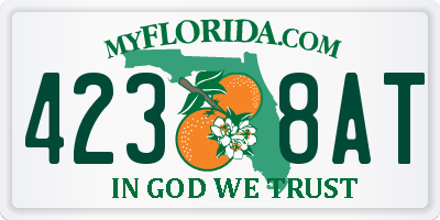FL license plate 4238AT