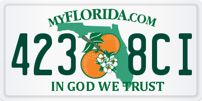 FL license plate 4238CI