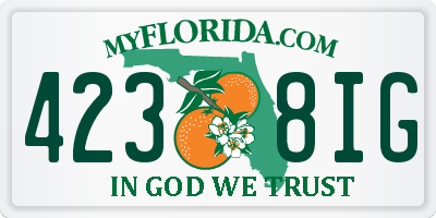 FL license plate 4238IG