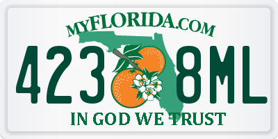 FL license plate 4238ML