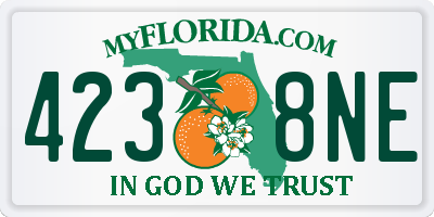 FL license plate 4238NE