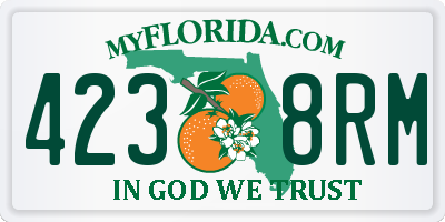FL license plate 4238RM