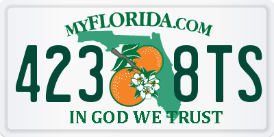 FL license plate 4238TS