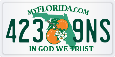FL license plate 4239NS