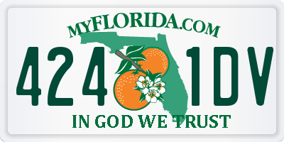 FL license plate 4241DV