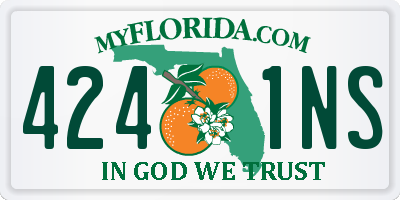 FL license plate 4241NS