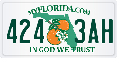 FL license plate 4243AH