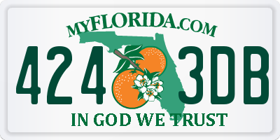 FL license plate 4243DB
