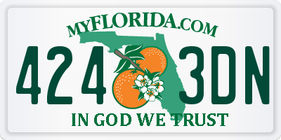FL license plate 4243DN