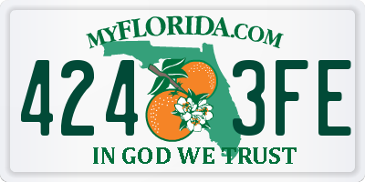 FL license plate 4243FE