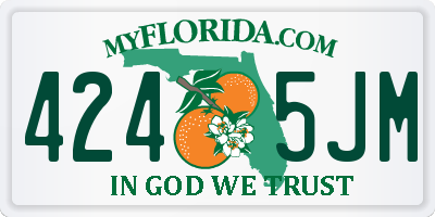 FL license plate 4245JM