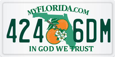 FL license plate 4246DM
