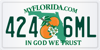 FL license plate 4246ML