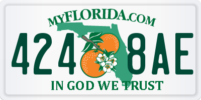 FL license plate 4248AE