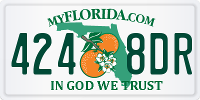 FL license plate 4248DR