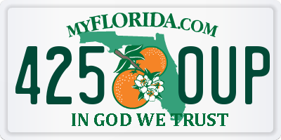 FL license plate 4250UP
