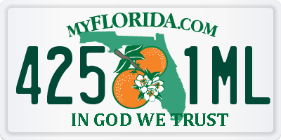 FL license plate 4251ML