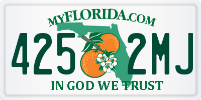 FL license plate 4252MJ