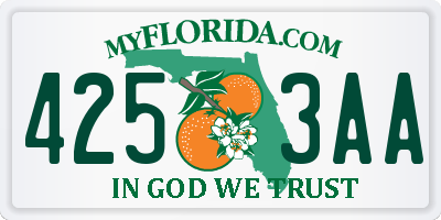FL license plate 4253AA