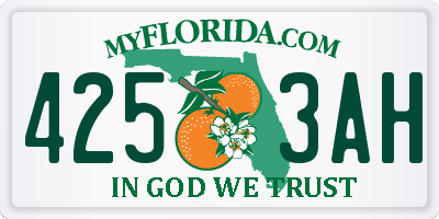 FL license plate 4253AH