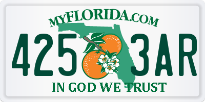 FL license plate 4253AR