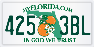 FL license plate 4253BL