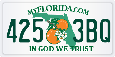 FL license plate 4253BQ
