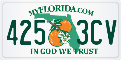 FL license plate 4253CV