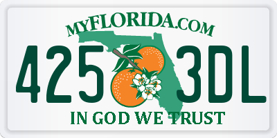 FL license plate 4253DL