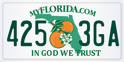 FL license plate 4253GA