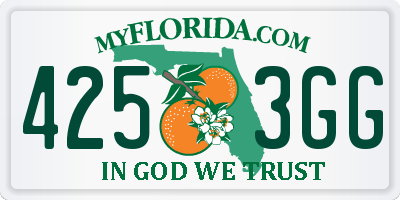 FL license plate 4253GG