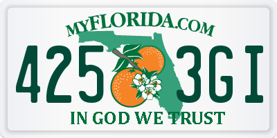 FL license plate 4253GI