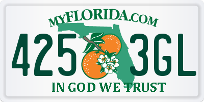 FL license plate 4253GL