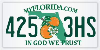 FL license plate 4253HS