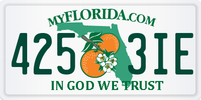 FL license plate 4253IE