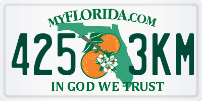 FL license plate 4253KM