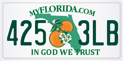 FL license plate 4253LB