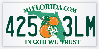 FL license plate 4253LM