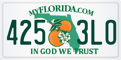 FL license plate 4253LO