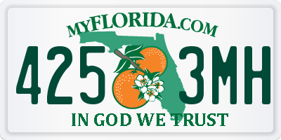 FL license plate 4253MH