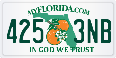 FL license plate 4253NB