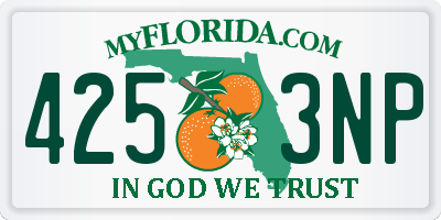 FL license plate 4253NP