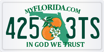 FL license plate 4253TS