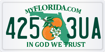 FL license plate 4253UA