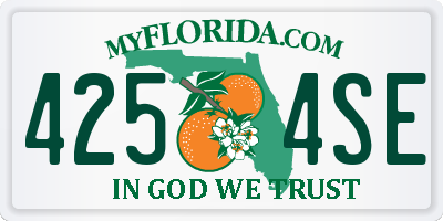 FL license plate 4254SE