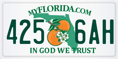 FL license plate 4256AH