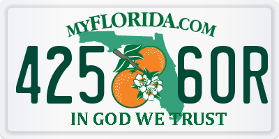 FL license plate 4256OR