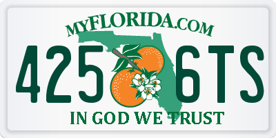 FL license plate 4256TS