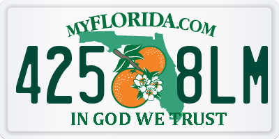 FL license plate 4258LM