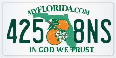 FL license plate 4258NS